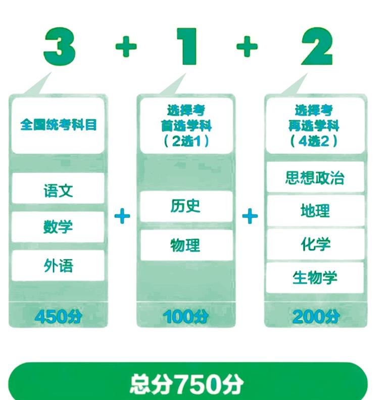 新澳门资料免费长期公开,2025|精选解释解析落实